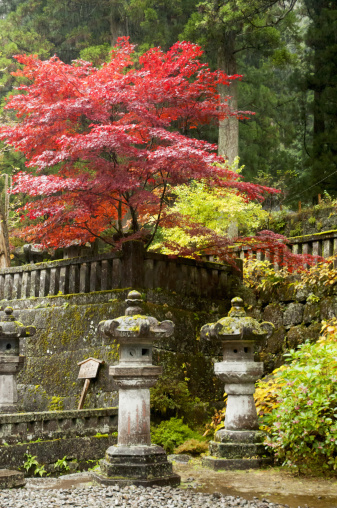 Autumn colours at Futaran Shrine, Nikko